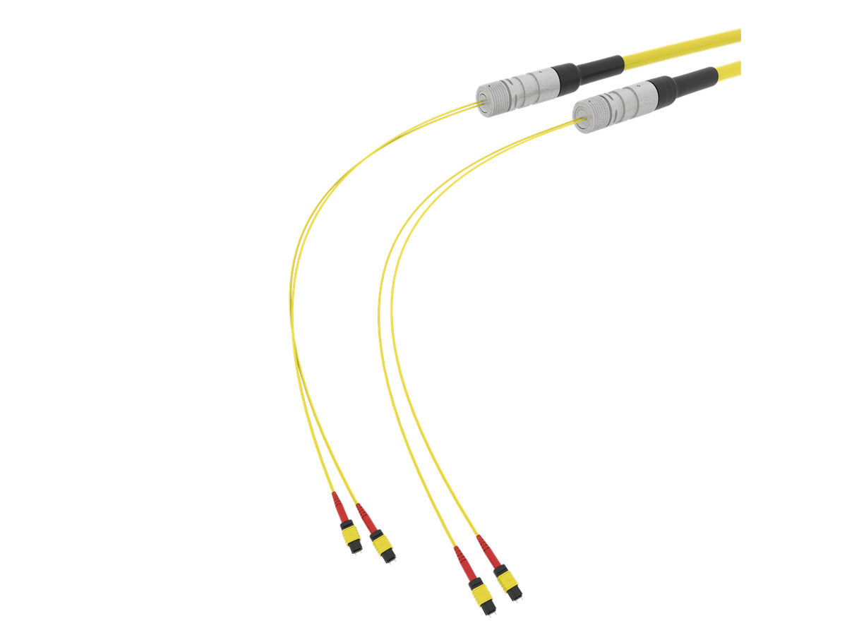 SpiderLINE MTP EasyCONNECT
