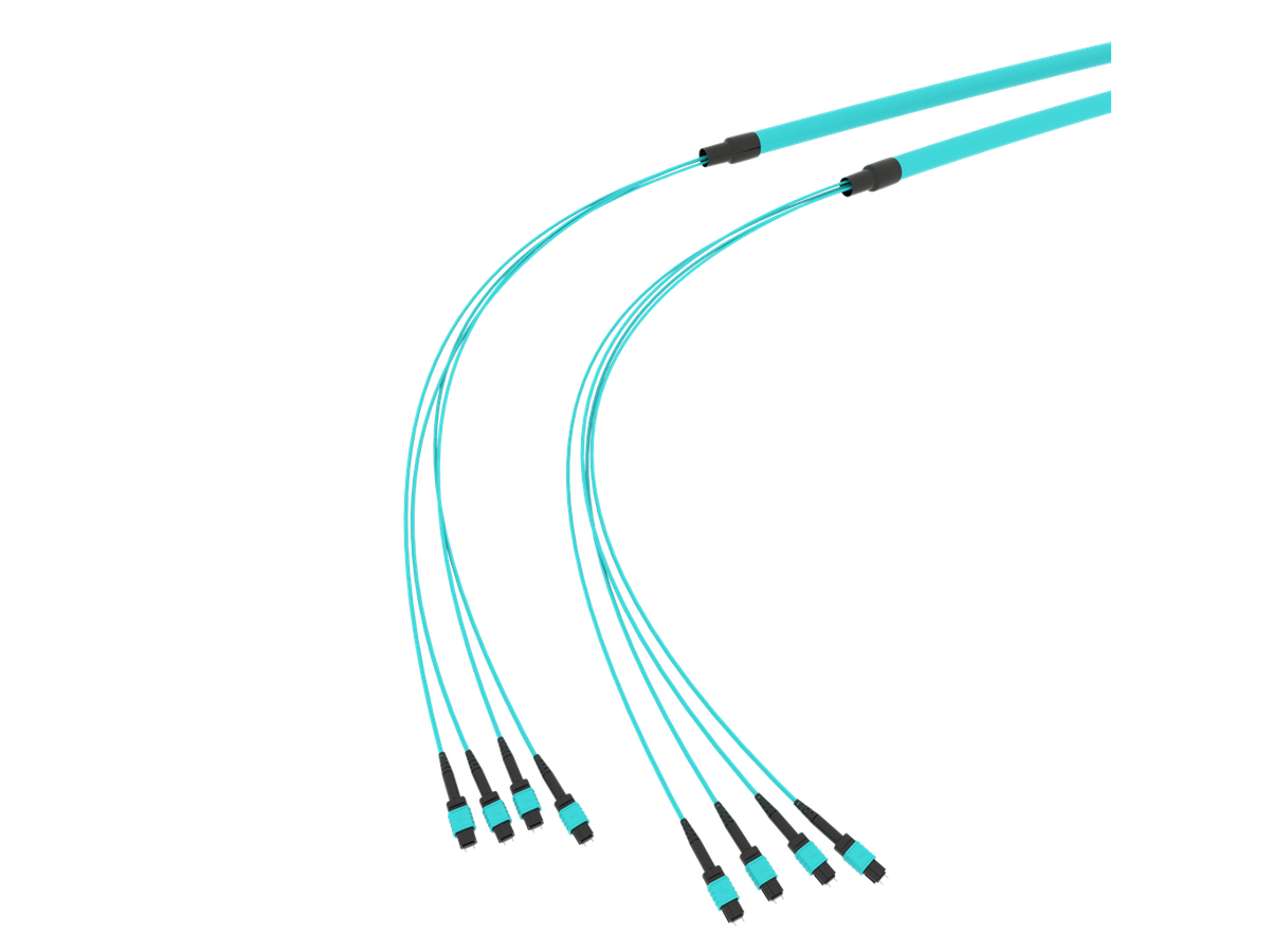SpiderLINE MTP EasyCONNECT