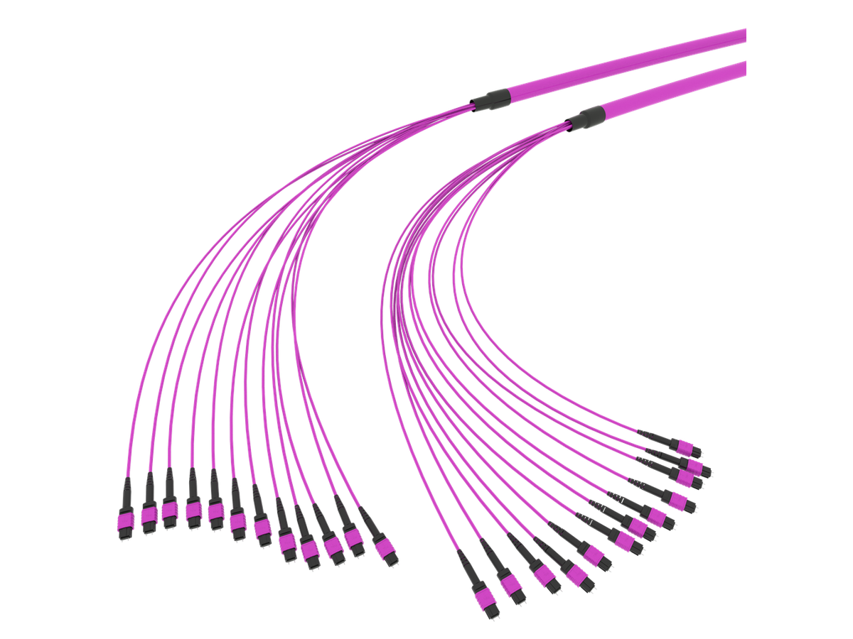 SpiderLINE MTP EasyCONNECT