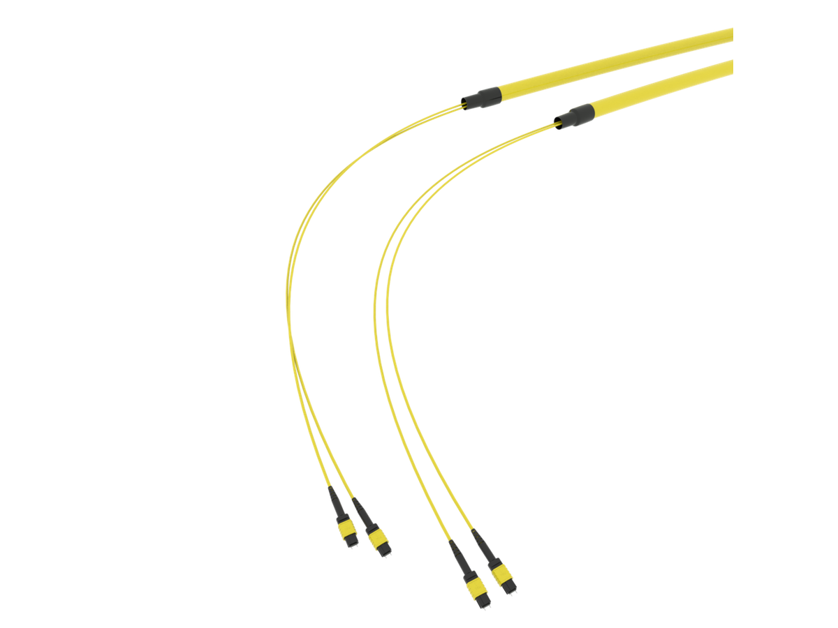 SpiderLINE MTP EasyCONNECT
