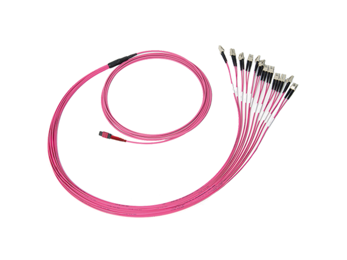 SpiderLINE MTP EasyCONNECT