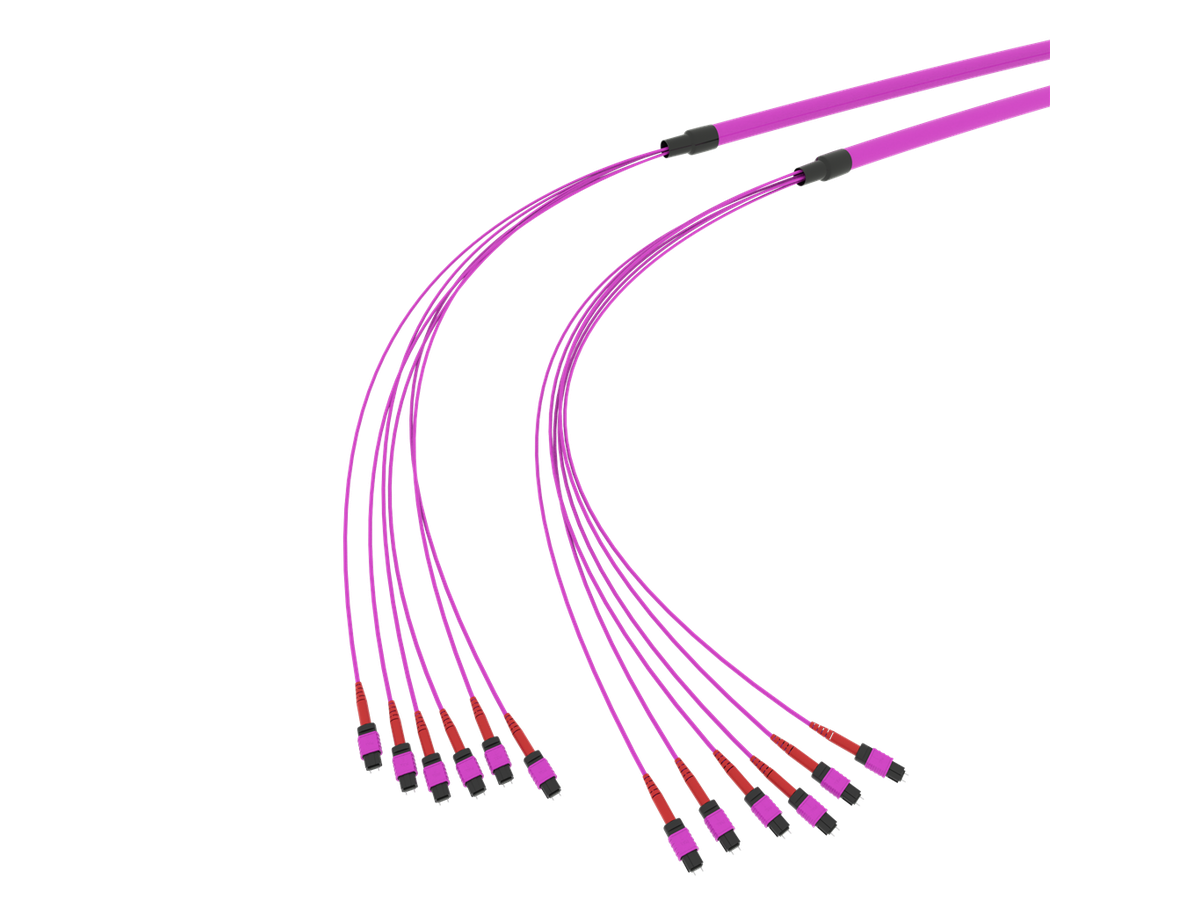 SpiderLINE MTP EasyCONNECT