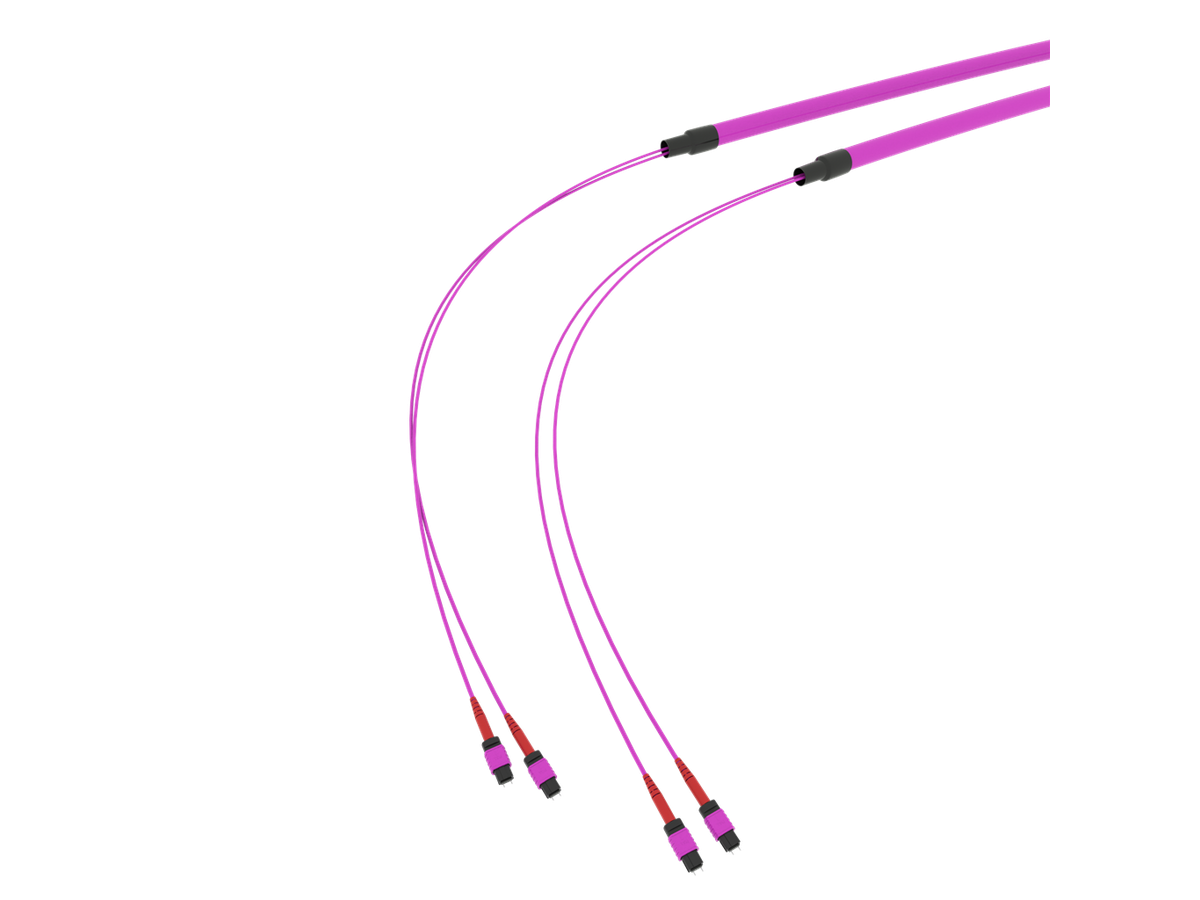 SpiderLINE MTP EasyCONNECT