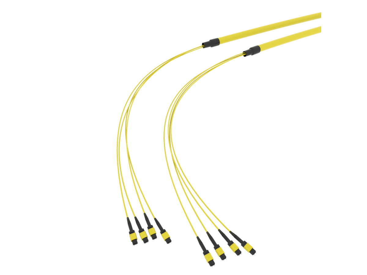 SpiderLINE MTP EasyCONNECT