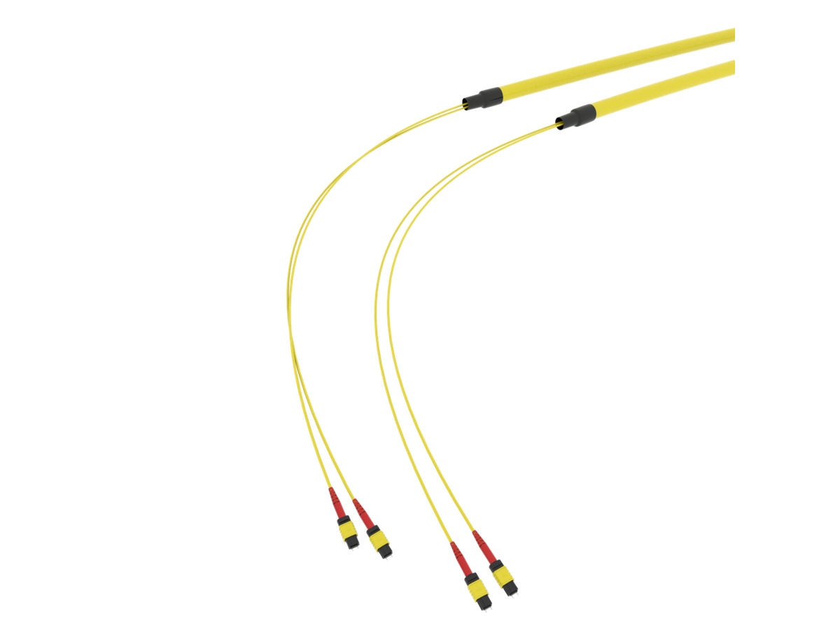 SpiderLINE MTP EasyCONNECT