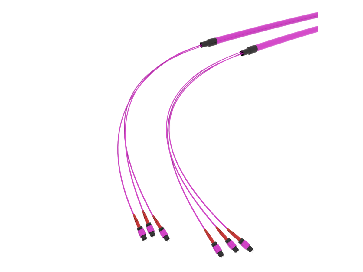 SpiderLINE MTP EasyCONNECT